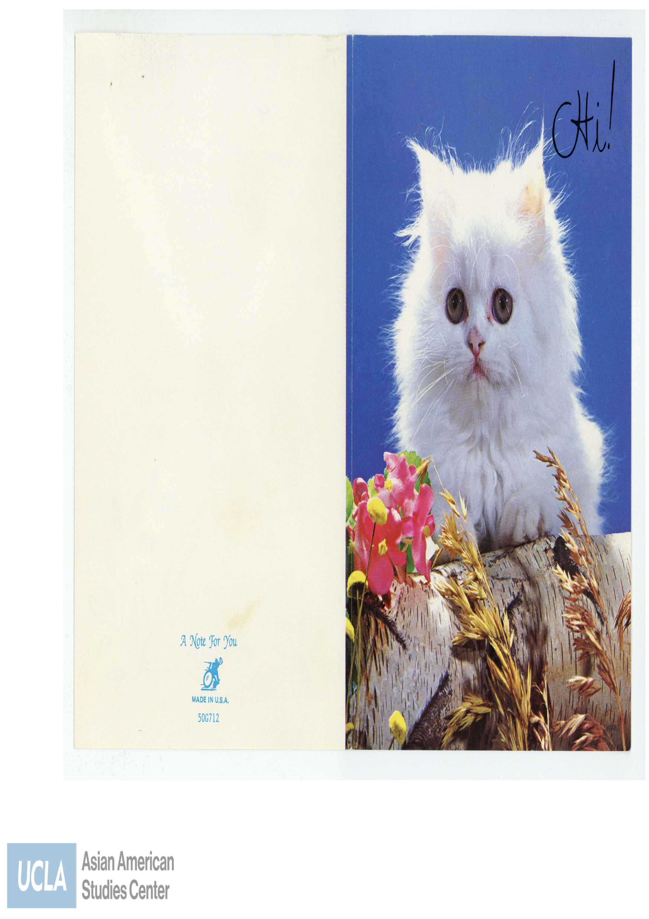 Card cover of a white kitten and the text 